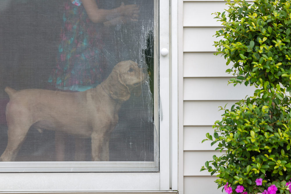 Sliding patio door with cosmetic damage - Broken screen