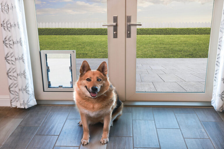 Reasons Why Your Dog Needs an Anlin In-Glass Pet Door