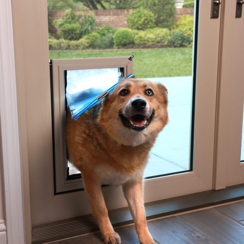Anlin Pet Doors