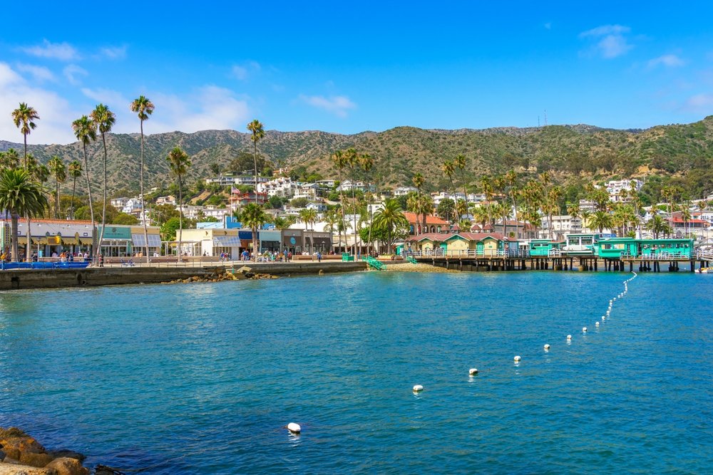 Black on Black in Avalon, CA