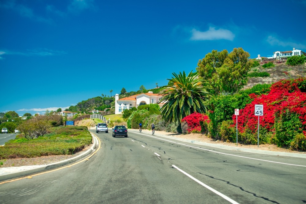 Black on Black in Rancho Palos Verdes, CA